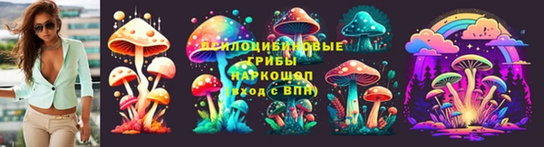 соль ск Алзамай