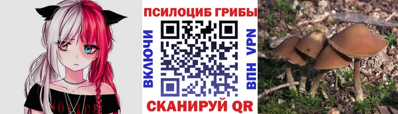 Галлюциногенные грибы ЛСД  kraken как зайти  Ртищево 