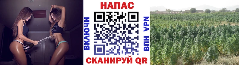 Каннабис марихуана  Ртищево 